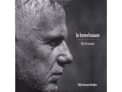 In Hemelsnaam - Wim Bevelander